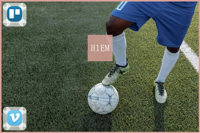 H1EM